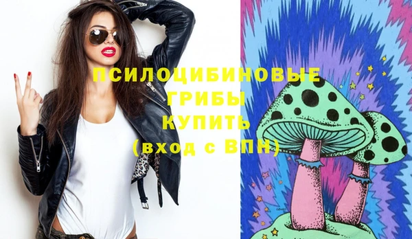 ешки Алзамай