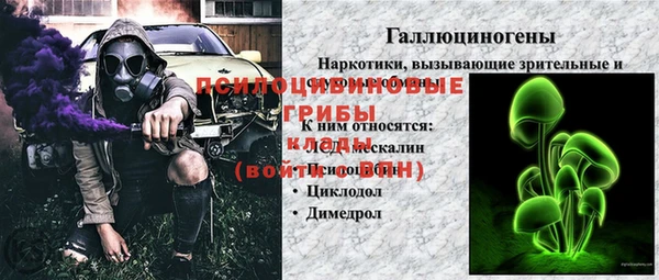 ешки Алзамай
