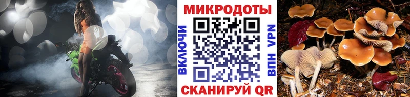 Галлюциногенные грибы ЛСД  купить  сайты  Почеп 